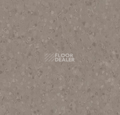 Линолеум Forbo Sphera Element 50020 silt фото 1 | FLOORDEALER